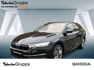 Skoda Octavia, 2.0 TDI Combi W Selection, Jahr 2024 - Gummersbach