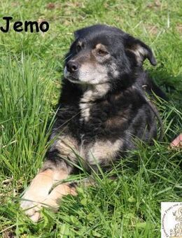 Jemo - mit Geduld ein Hauptgewinn - Kissing