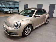 VW Beetle Cabriolet 1.2 TSI Design - Bad Oeynhausen