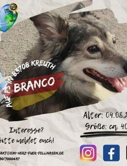 BRANCO - Couchkuscheln ist sooo schön - Waakirchen