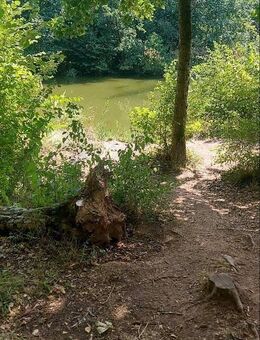 Imkerwiese, Egelswoogwiese gelegen an einem Teich u.a., 63225 Langen - Langen (Hessen)
