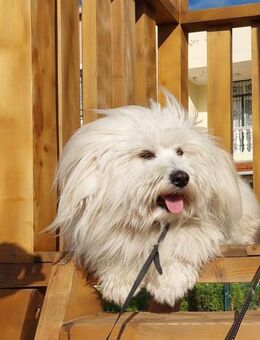 Karl und seine Geschwister - Zornheim