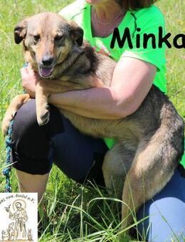 Minka Kleines Hundemädchen ... - Kissing