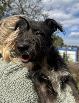 Lidi - möchte bei Dir einziehen! - Köln