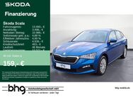 Skoda Scala, 1.0 TSI COOL PLUS Scala Cool Plus, Jahr 2020 - Freiburg (Breisgau)