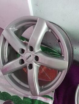 4 Alufelgen Alutec PS11 Polar Silber - Bochum Eppendorf
