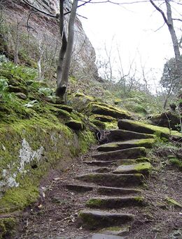 Energetische Psychotherapie - Moers