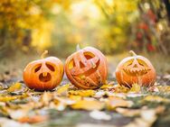 Goldener Herbst, goldenes Zuhause - Klimaneutrale Doppelhaushälfte ganz nach Ihren Wünschen - Schermbeck