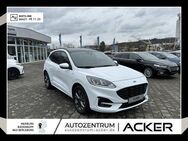 Ford Kuga, 1.5 EcoBlue ST-Line, Jahr 2022 - Bad Berleburg