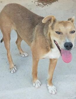 Sandra so menschenbezogen Alb - Ludwigshafen (Rhein)