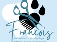 Hunde und Katzenfriseur - Schleiden