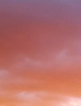 Gehen wir gemeinsam - Brandenburg (Havel)