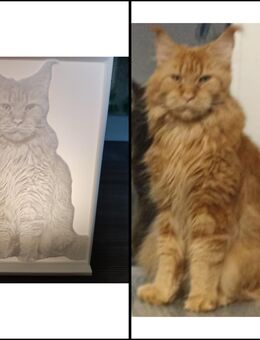 Selbst erstellte Lithophane Bilder Geschenkidee Weihnachten - Datteln