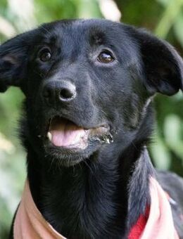 Joline - Sanftes Mädchen - Obertshausen