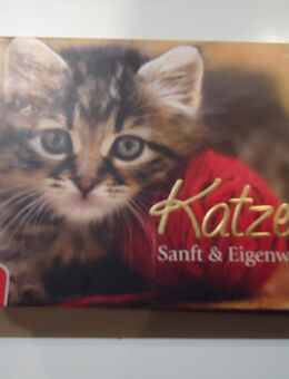 Katzen: Sanft & Eigenwillig - Freilassing