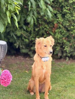 Alles auf einer Ebene und ohne TREPPEN.Weihnachten 2026 im eigenen HAUS - Bad Kissingen