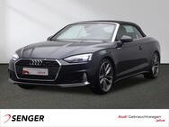 Audi A5, Cabriolet Advanced 35 TFSI, Jahr 2024 - Lingen (Ems)