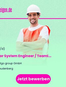 Senior System Engineer / Teamlead (m/w/d) - Freudenberg (Nordrhein-Westfalen)