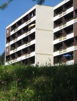 Wohnung mit Balkon zum Einziehen und Wohlfühlen! - Schönwald (Schwarzwald)