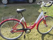 28 Zoll Damenfahrrad zu verkaufen - Delitzsch