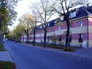Charmante Dachgeschosswohnung mit rustikalem Flair - Schönebeck (Elbe)
