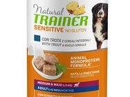 Natural Trainer Sensitive No Gluten Adult - 400 g Forelle & Vollkorngetreide