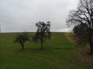 Hof / Anwesen mit Ackerfläche; - Altfraunhofen