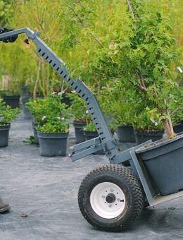 Grün- und Graupflege Deutschlandweit - Außenanlagen professionell betreut! - Philippsburg