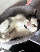 Melli Mädchen in 15890