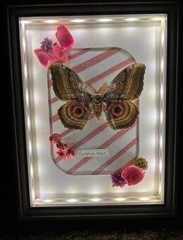 Handgefertigte Dekoration mit Naturkunst & Licht - Unikat - Bochum