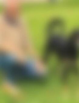 Mah*** - Friedrichsdorf