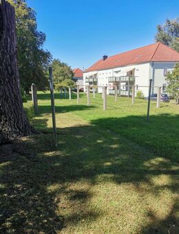 helle 3 Raum Wohnung im grünen mit Balkon - Riesa