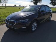 Skoda Octavia, 2.0 TDI Kombi Selection GV5 el Hk, Jahr 2024 - Achern