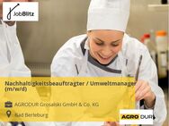 Nachhaltigkeitsbeauftragter / Umweltmanager (m/w/d) - Bad Berleburg