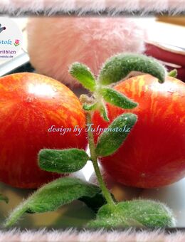 ♥ BIO Fuzzy Wuzzy,flauschige Ampel Tomate Samen Tulpenstolz,Garten,Pfirsich,Seeds,Garten,samenfest,Alte Sorte - Hamburg