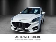 Ford Kuga, 2.5 Duratec ST-Line B, Jahr 2021 - Weinheim