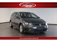 VW Golf 2.0 TDI R-Line Navi-Kamera-Massage-ACC-SHZ- - Bebra