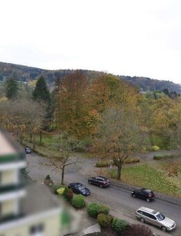 Bad Orb: Penthouse Wohnung am Kurpark! Leider können wir erst ab Mai Termine machen! - Bad Orb