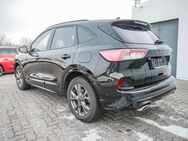 Ford Kuga 2.5 Plug-In Hybrid ST-Line HUD LED PANO - Halle (Saale)