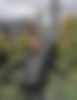 Ull*** - Bodenwerder (Münchhausenstadt)