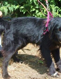 Pitjes Weg zurück ins Leben - Berlin