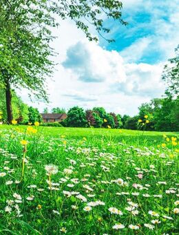 Zwischen Weinbergen und Geschichte - Anwesen mit Charme und Freiraum - Kleinkarlbach