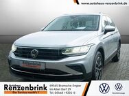 VW Tiguan, Life TDI Business Premium-Paket, Jahr 2023 - Bramsche