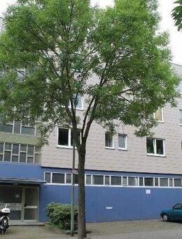 Gemütliche 1-Zimmer Wohnung in zentraler Lage Kassels - WBS erforderlich! - Kassel
