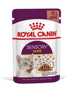 Royal Canin Sensory Taste in Soße - 12 x 85 g
