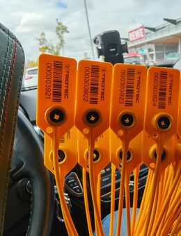 Durchziehplombe, Plombe ;) - Schriesheim