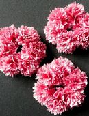 3 x dekorativer Kerzentropfschutz in dunkelrosa für die festliche Tafel in 57572