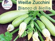 ♥ Bio weiße Zucchini Bianco di Sicilia Samen samenfest Gemüse Garten Tulpenstolz, Cucurbita pepo,weiss,Saatgut,Seeds - Hamburg