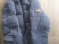 Winterjacke Calvin Klein - Syke