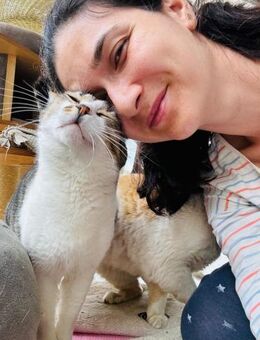 💙 Sanfter Minutz sucht Geborgenheit 💙 - Eislingen (Fils)